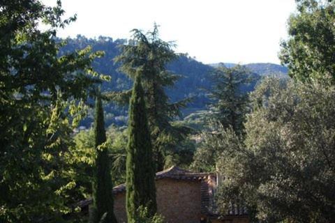 Bed and Breakfast Mas Des Cedres Anduze Exteriér fotografie